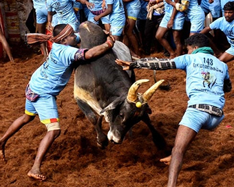 27-year-old gored to death by bull at Jallikattu event in Tamil Nadu